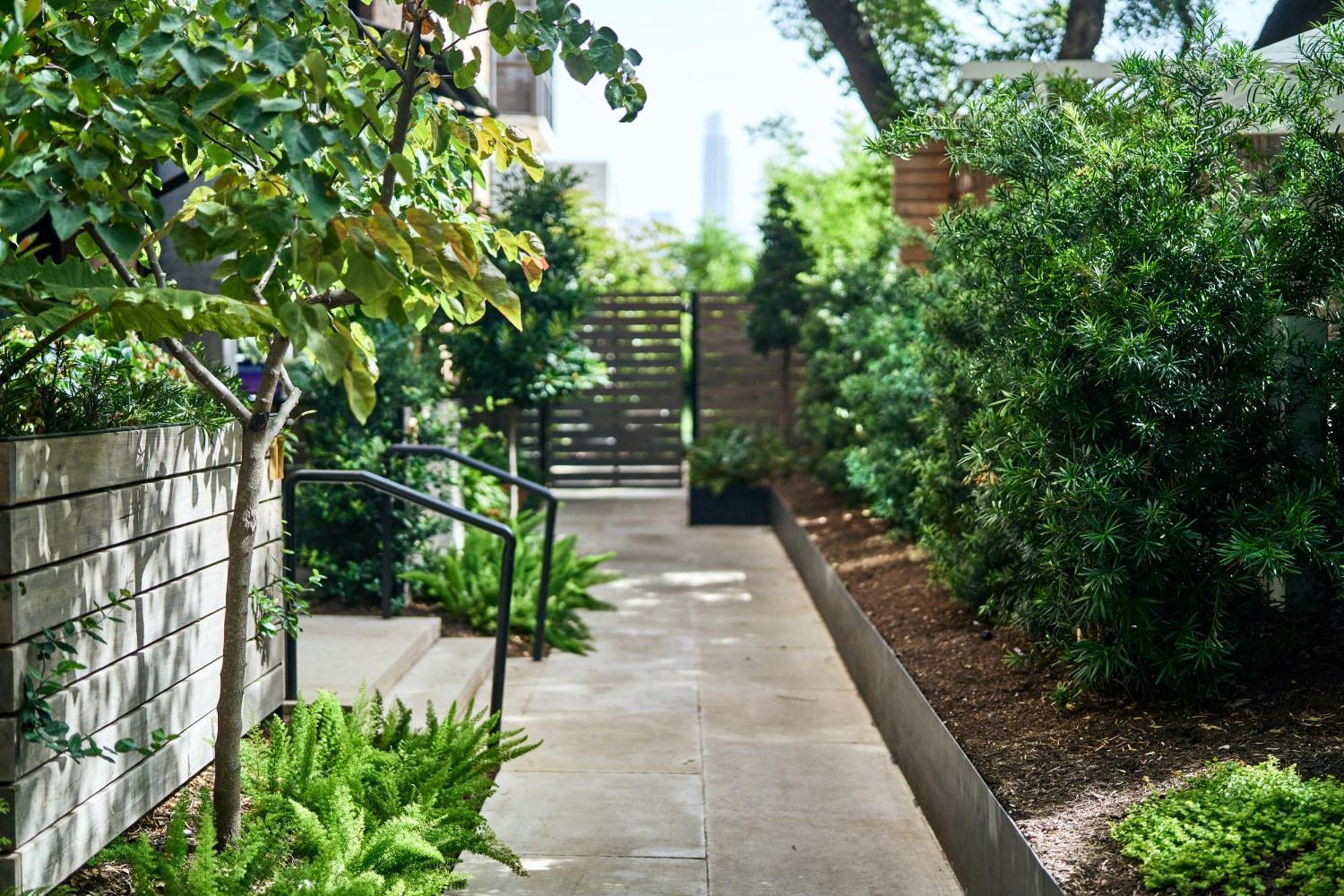Hotel Saint Cecilia Austin Exterior photo